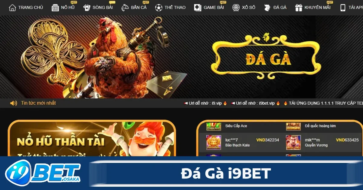 Đá Gà i9BET 1 Hệ thống livestream tại sảnh đá gà I9BET là sự kết hợp giữa công nghệ kỹ thuật số tiên tiến và kỹ thuật truyền dẫn tối ưu