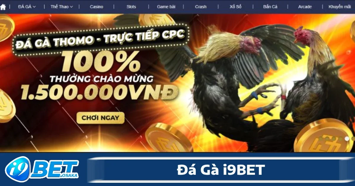 Đá Gà i9BET 3 Chức năng đặt cược tại đá gà I9BET không chỉ đảm bảo tính minh bạch, công bằng mà còn hỗ trợ đa dạng các loại cược
