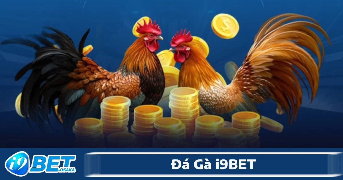Đá Gà i9BET 4 Việc đặt cược tại đá gà I9BET rất tiện lợi và nhanh chóng, đảm bảo người chơi có thể tham gia bất cứ lúc nào