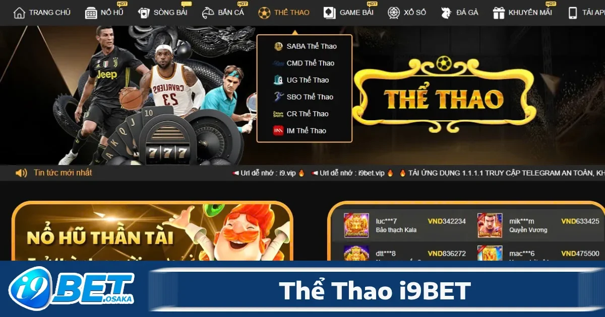 Thể Thao i9BET 1 Các môn thể thao được cược nhiều nhất tại thể thao I9BET